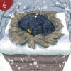 Pack invernale - immagine 7