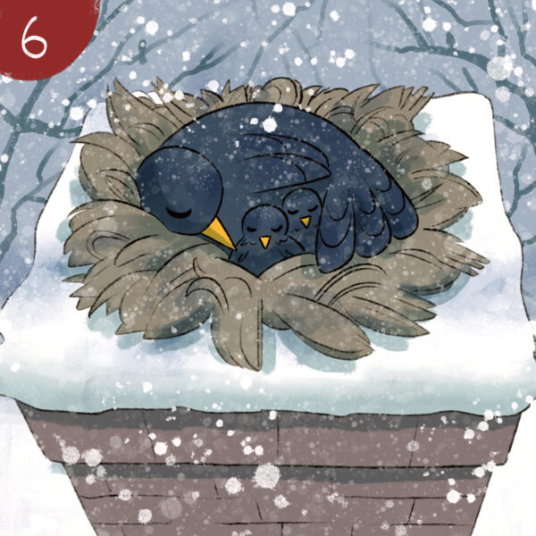 Pack invernale - immagine 7